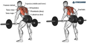 Barbell rows