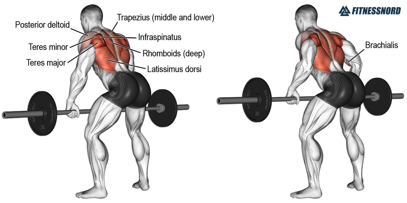 Barbell Rows | Sådan laver du perfekte Bent Over Barbell Rows